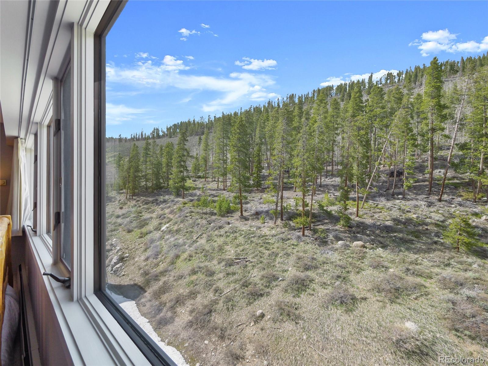 MLS Image #38 for 22097  saints john road,dillon, Colorado