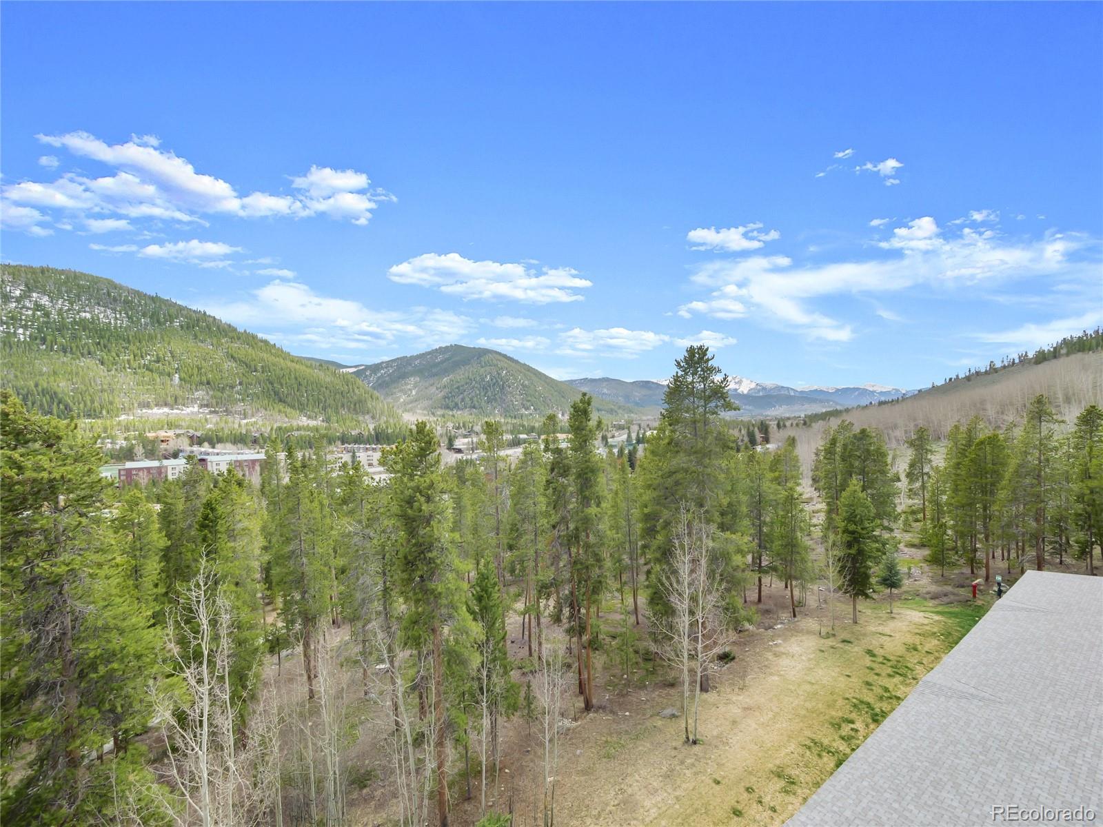 MLS Image #42 for 22097  saints john road,dillon, Colorado