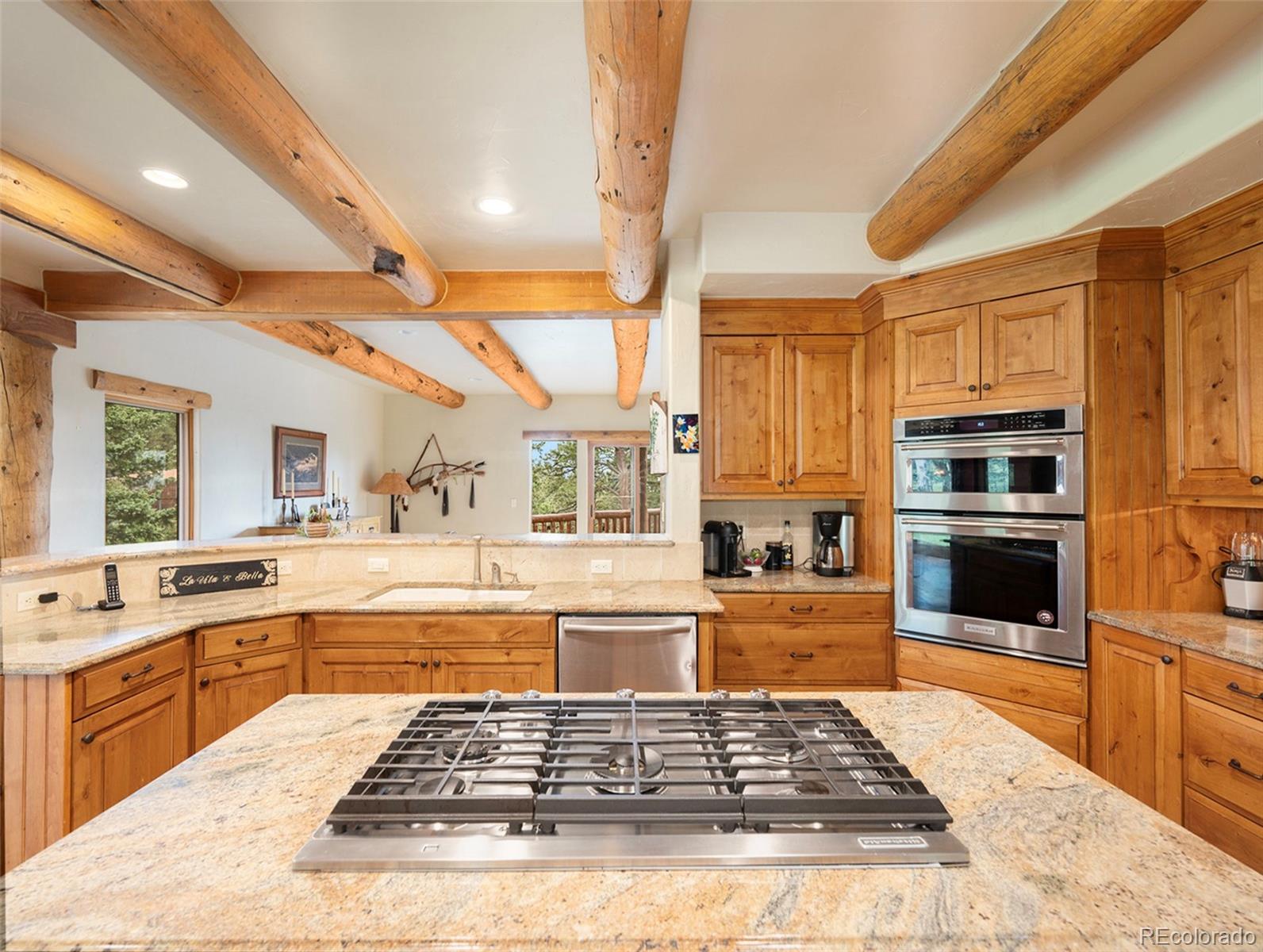 MLS Image #16 for 24987  giant gulch road,evergreen, Colorado