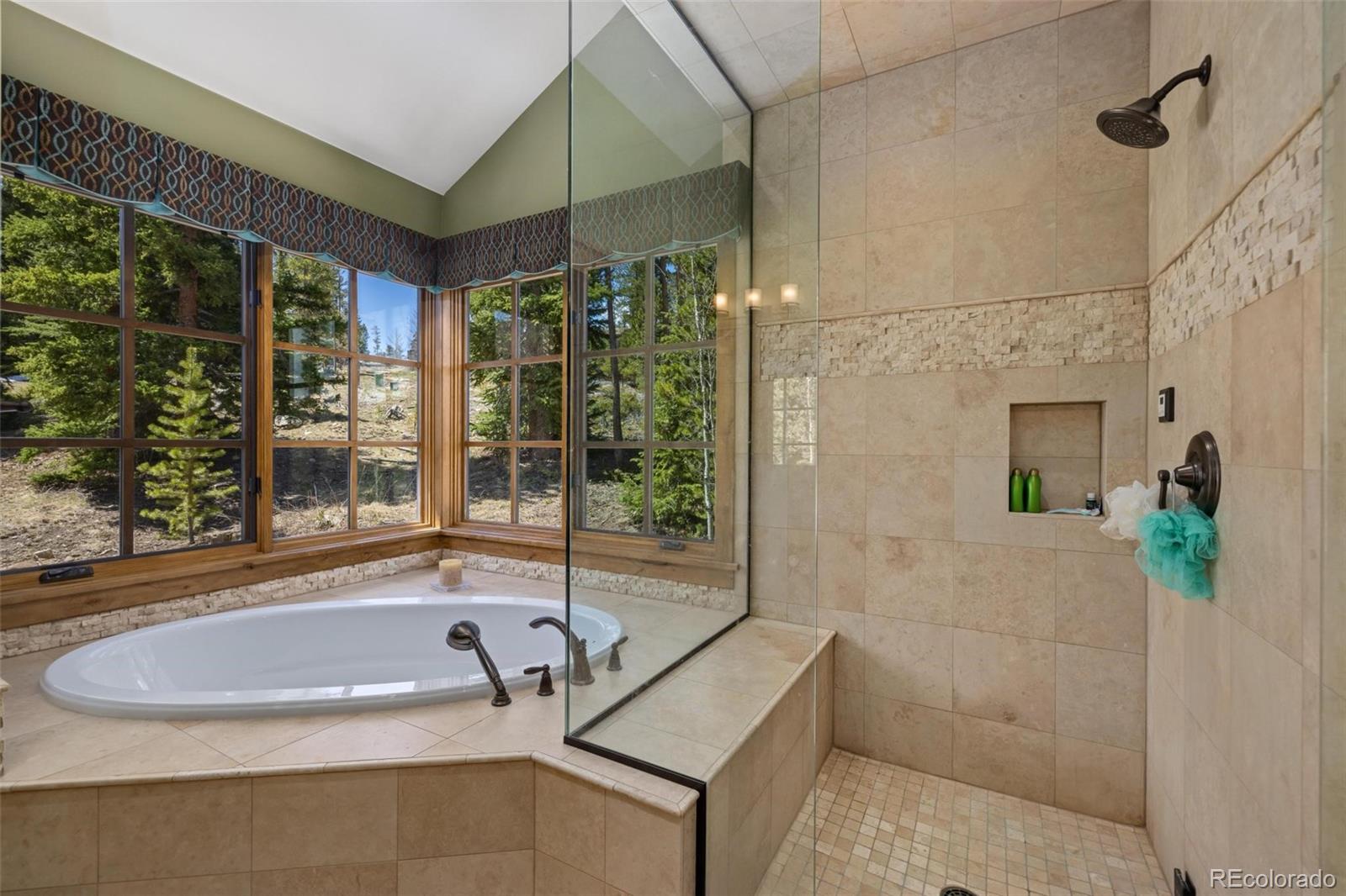 MLS Image #6 for 312  corkscrew drive,breckenridge, Colorado