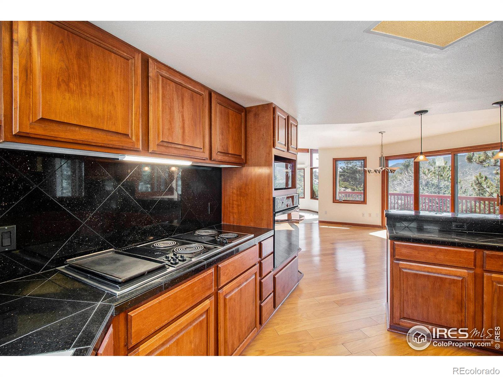 MLS Image #16 for 301  ute lane,estes park, Colorado