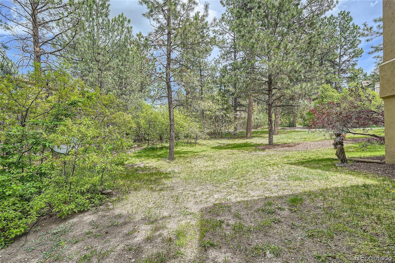 MLS Image #36 for 454  silbrico way,castle rock, Colorado