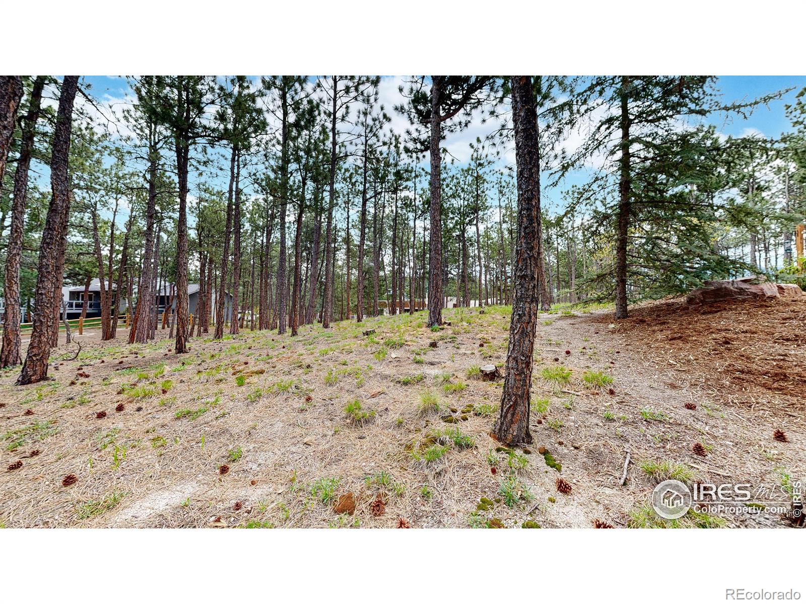 MLS Image #32 for 17420  caribou drive,monument, Colorado