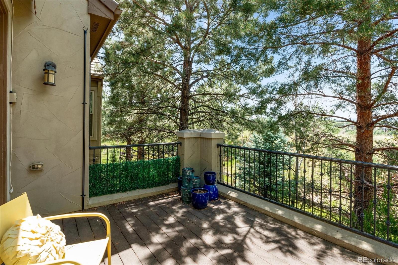 MLS Image #39 for 5021  ballarat lane,castle rock, Colorado