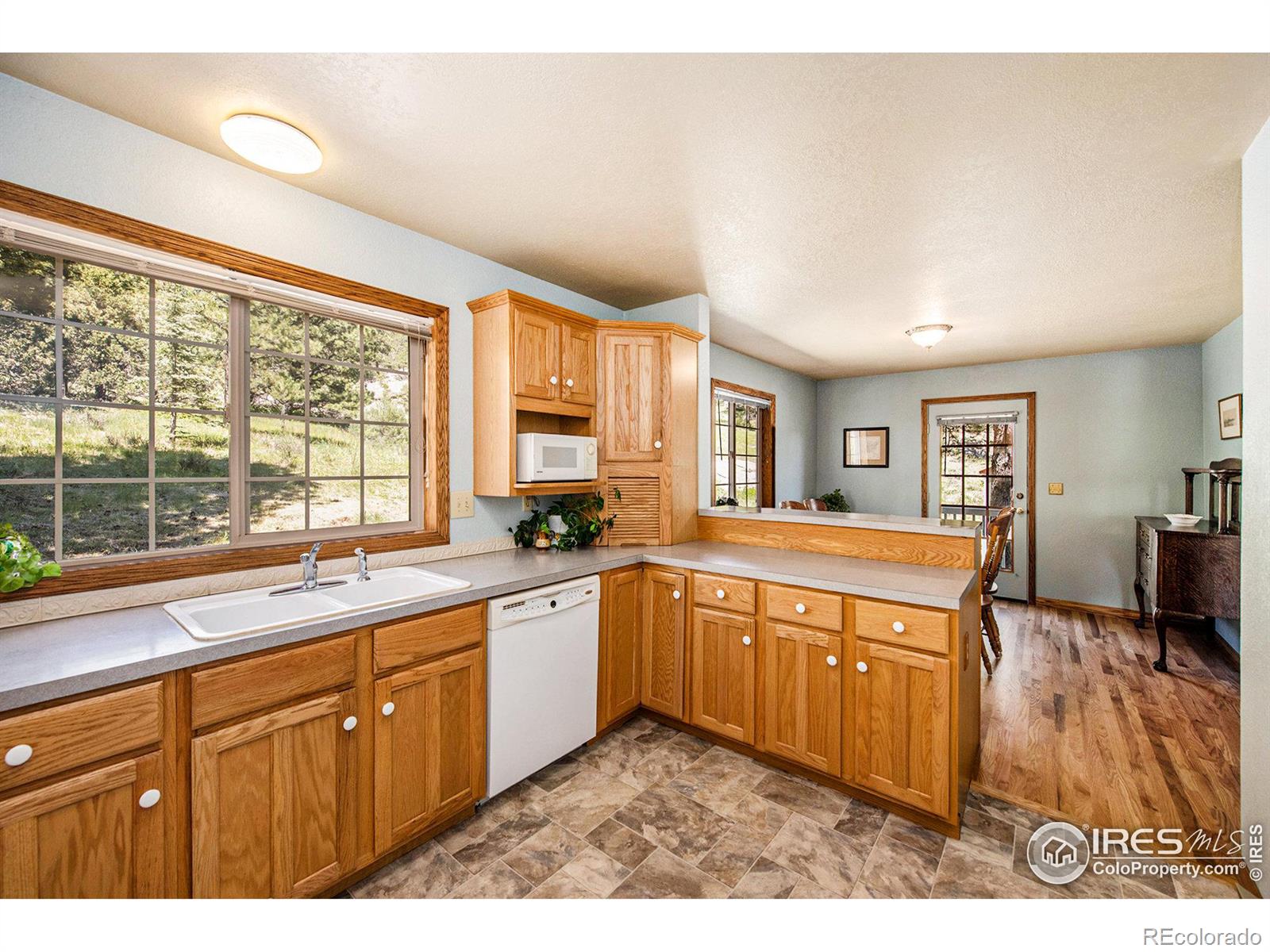 MLS Image #13 for 60  horn peak drive,livermore, Colorado