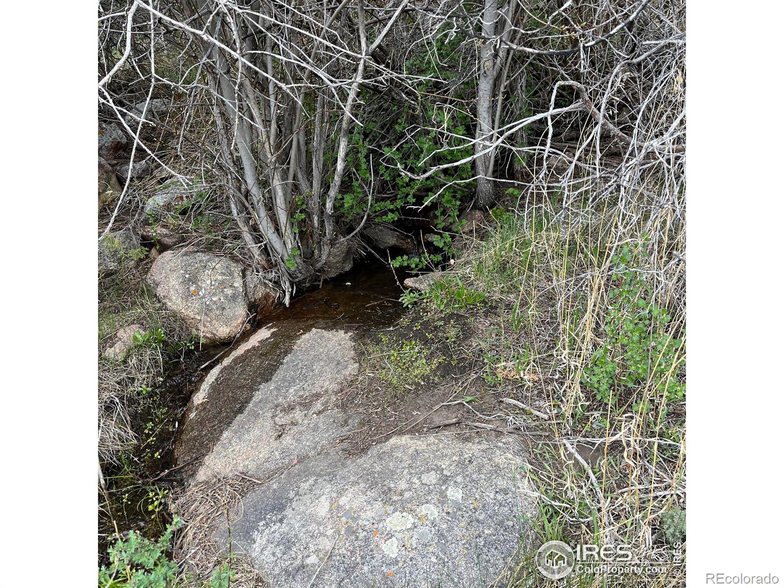 MLS Image #36 for 60  horn peak drive,livermore, Colorado