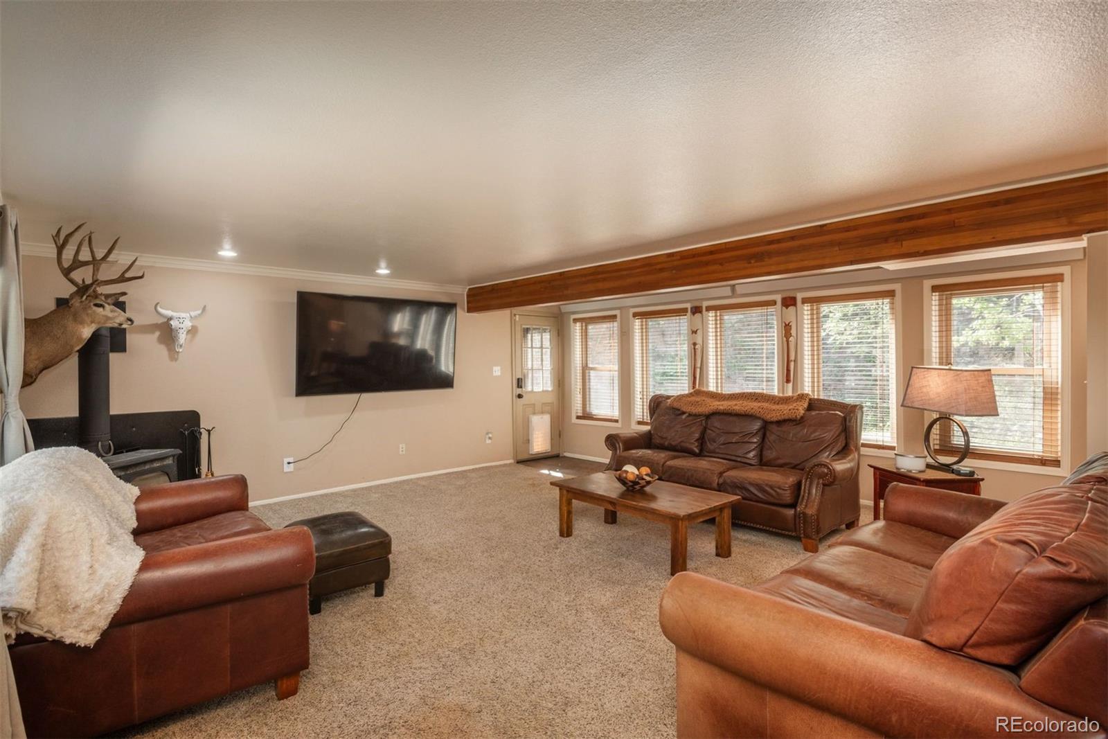 MLS Image #16 for 28268  shadow mountain drive,conifer, Colorado