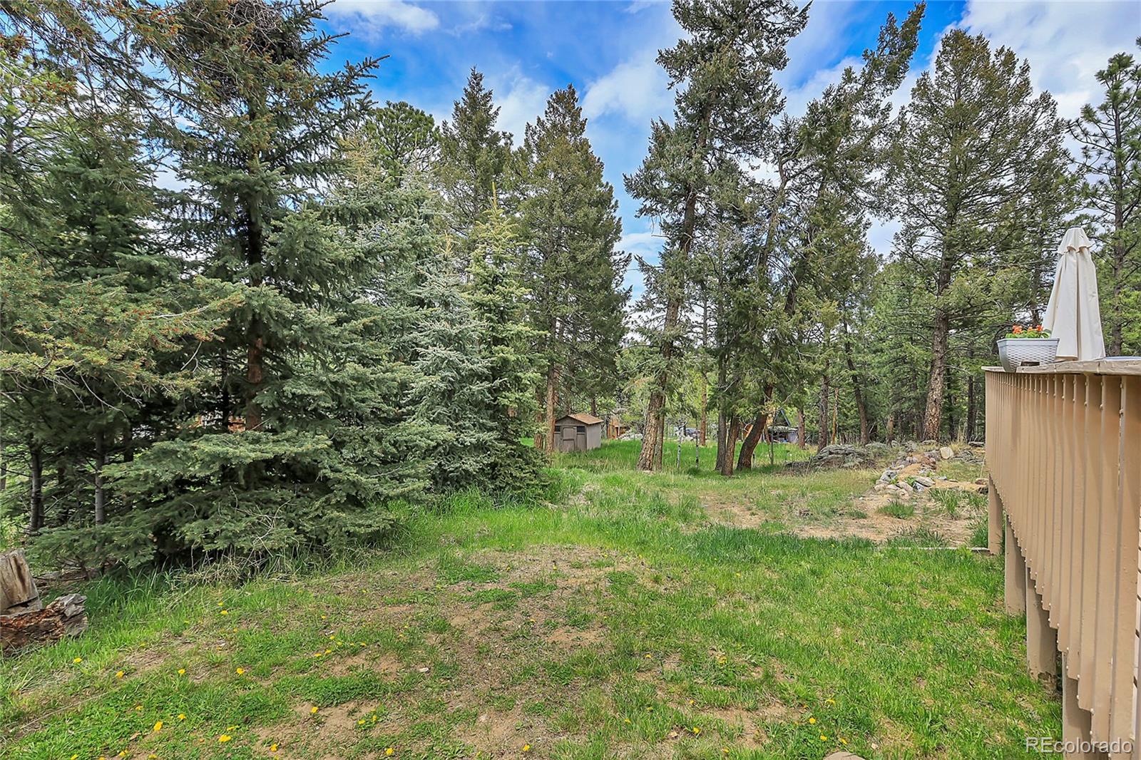 MLS Image #45 for 1492  burland drive,bailey, Colorado