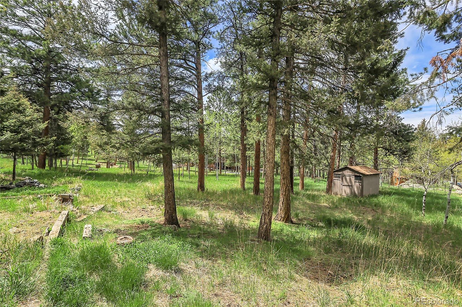 MLS Image #46 for 1492  burland drive,bailey, Colorado