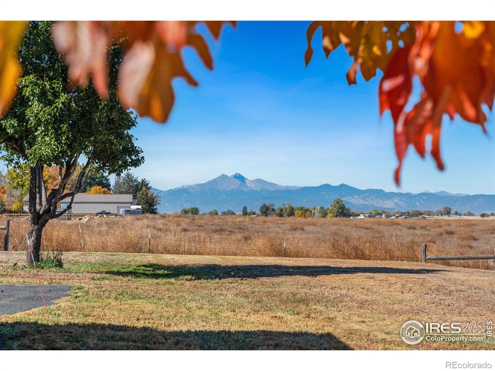 MLS Image #1 for 5425  county road 32 ,mead, Colorado