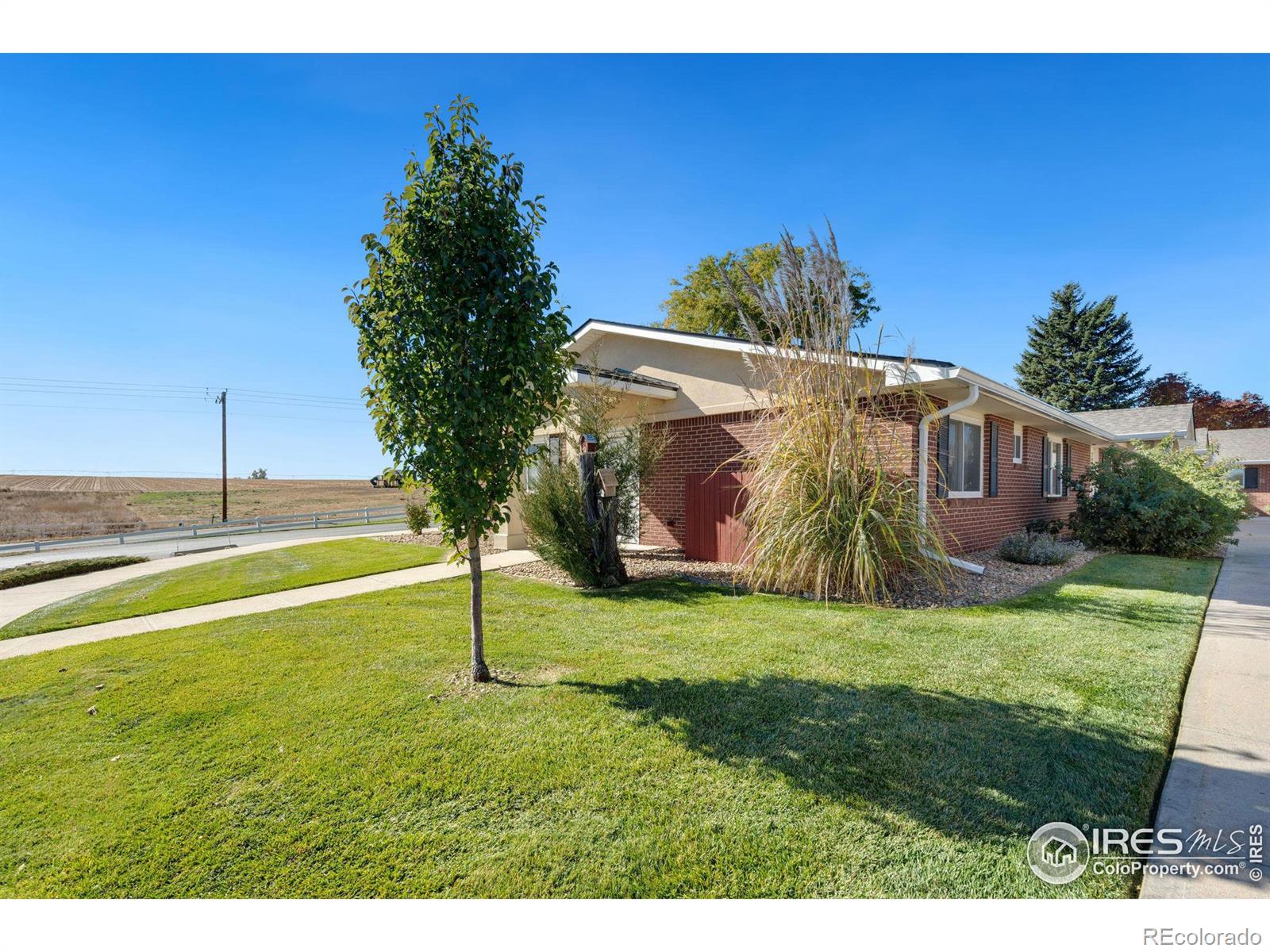 MLS Image #21 for 5425  county road 32 ,mead, Colorado