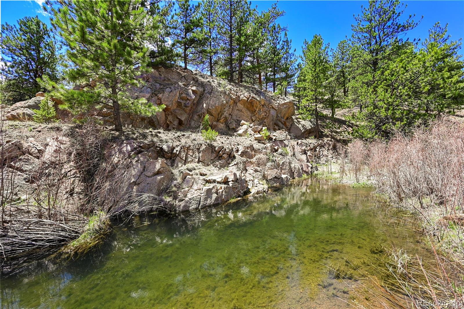 MLS Image #2 for 7275  co-9 ,guffey, Colorado