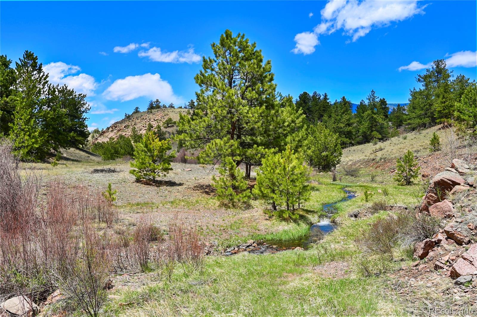 MLS Image #22 for 7275  co-9 ,guffey, Colorado