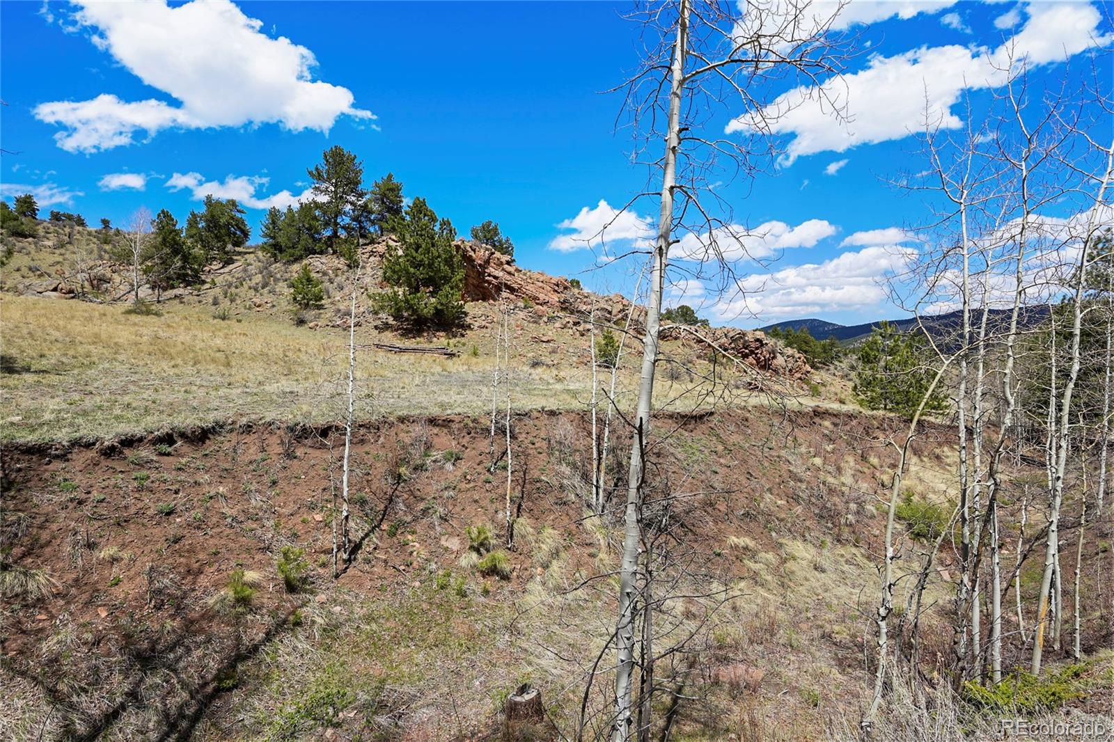 MLS Image #23 for 7275  co-9 ,guffey, Colorado