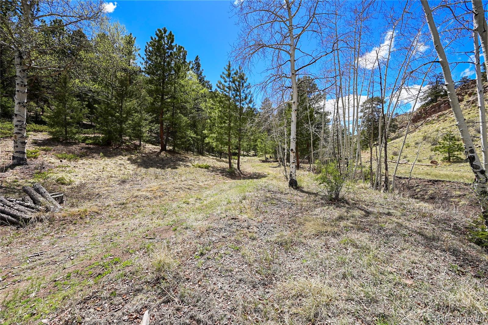 MLS Image #24 for 7275  co-9 ,guffey, Colorado