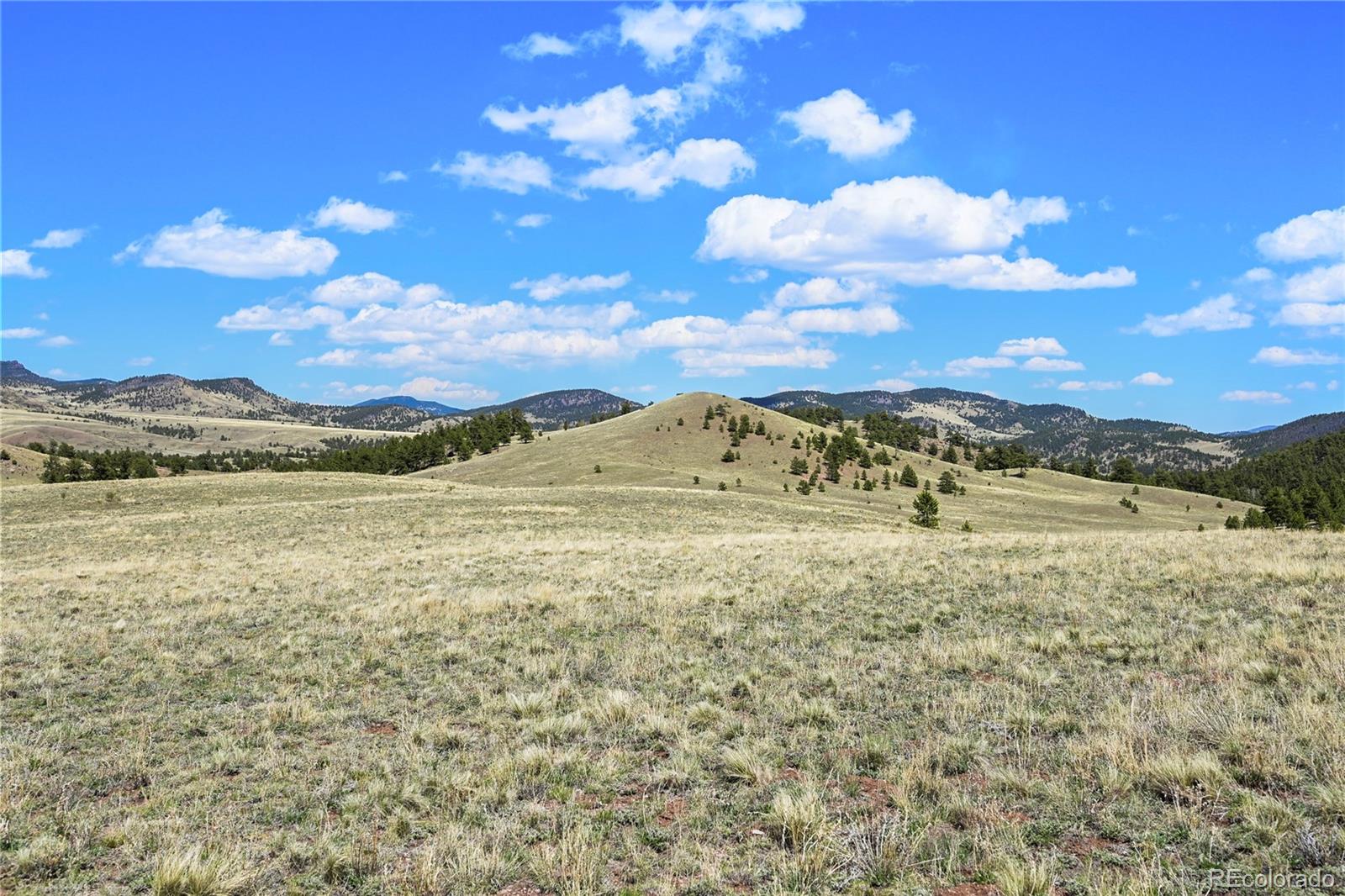 MLS Image #25 for 7275  co-9 ,guffey, Colorado