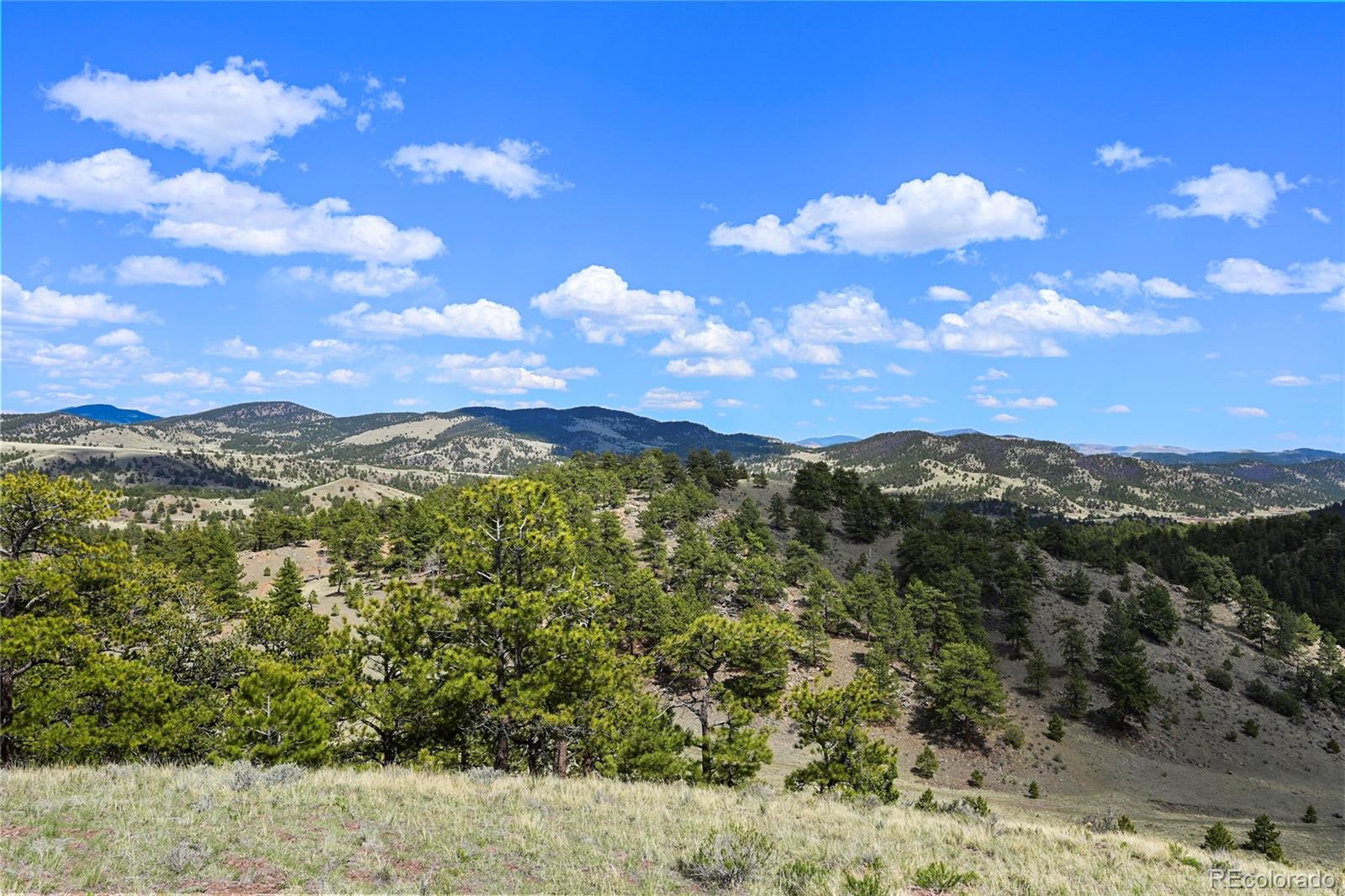 MLS Image #26 for 7275  co-9 ,guffey, Colorado