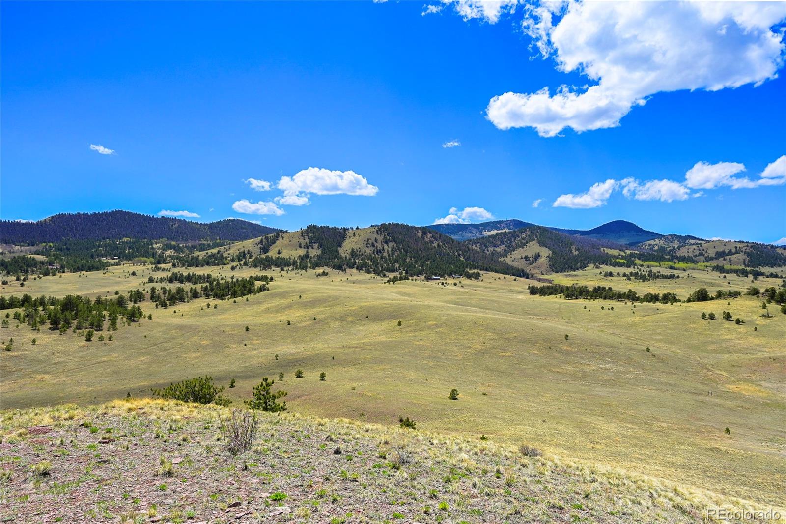 MLS Image #27 for 7275  co-9 ,guffey, Colorado