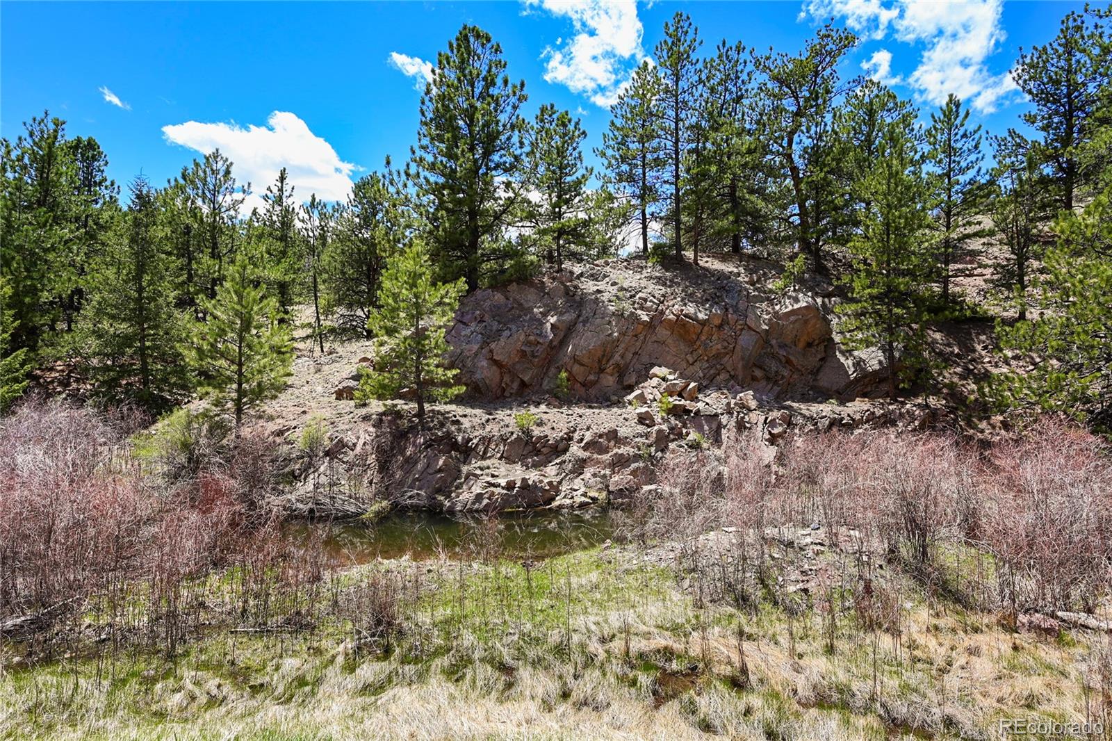 MLS Image #28 for 7275  co-9 ,guffey, Colorado