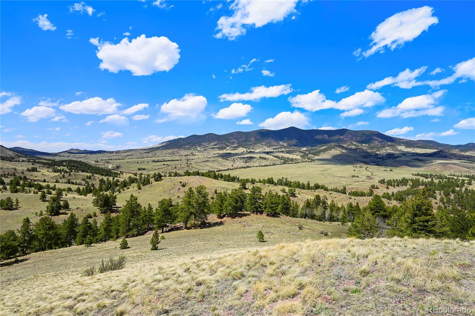 MLS Image #29 for 7275  co-9 ,guffey, Colorado