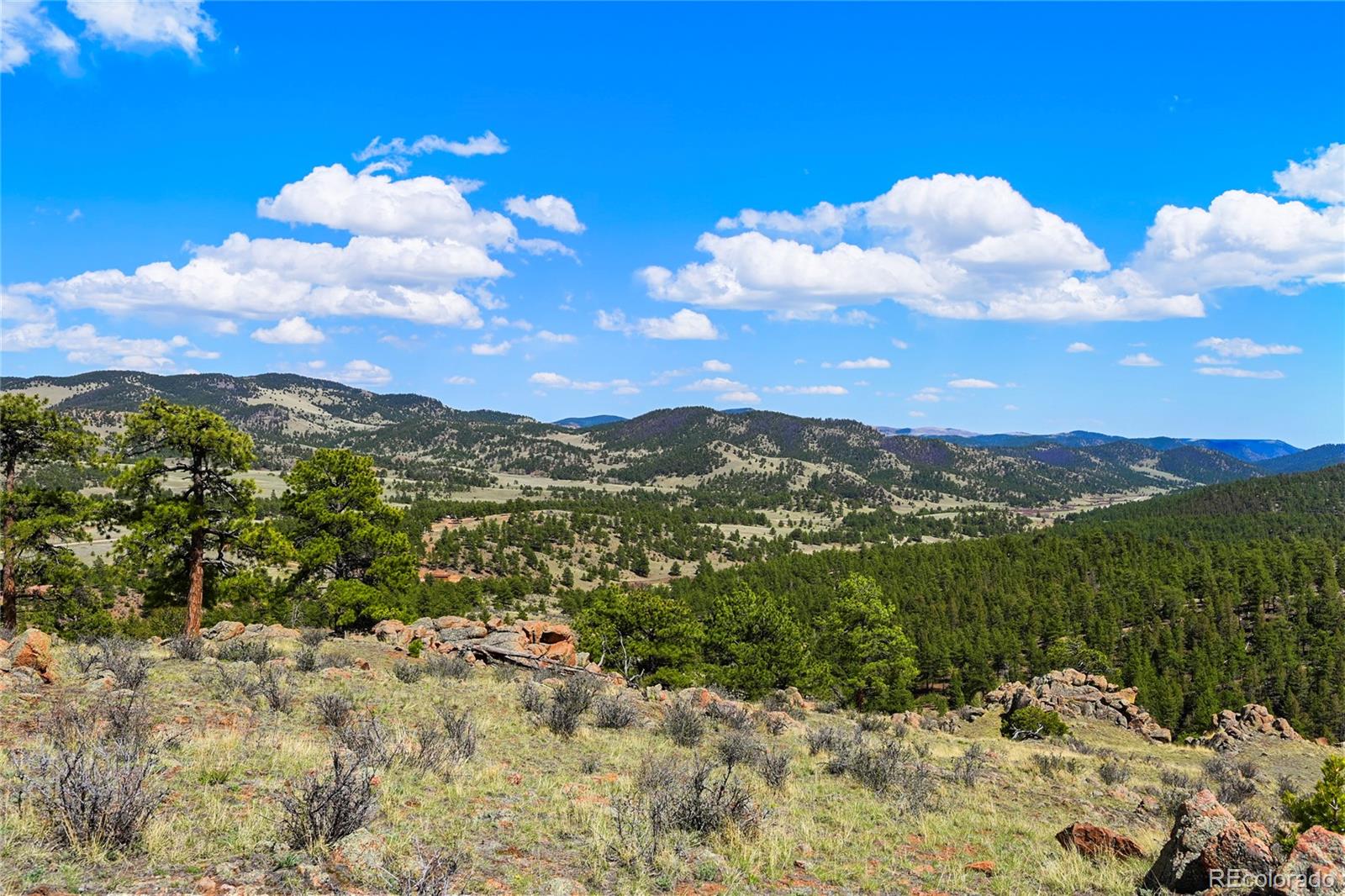 MLS Image #31 for 7275  co-9 ,guffey, Colorado