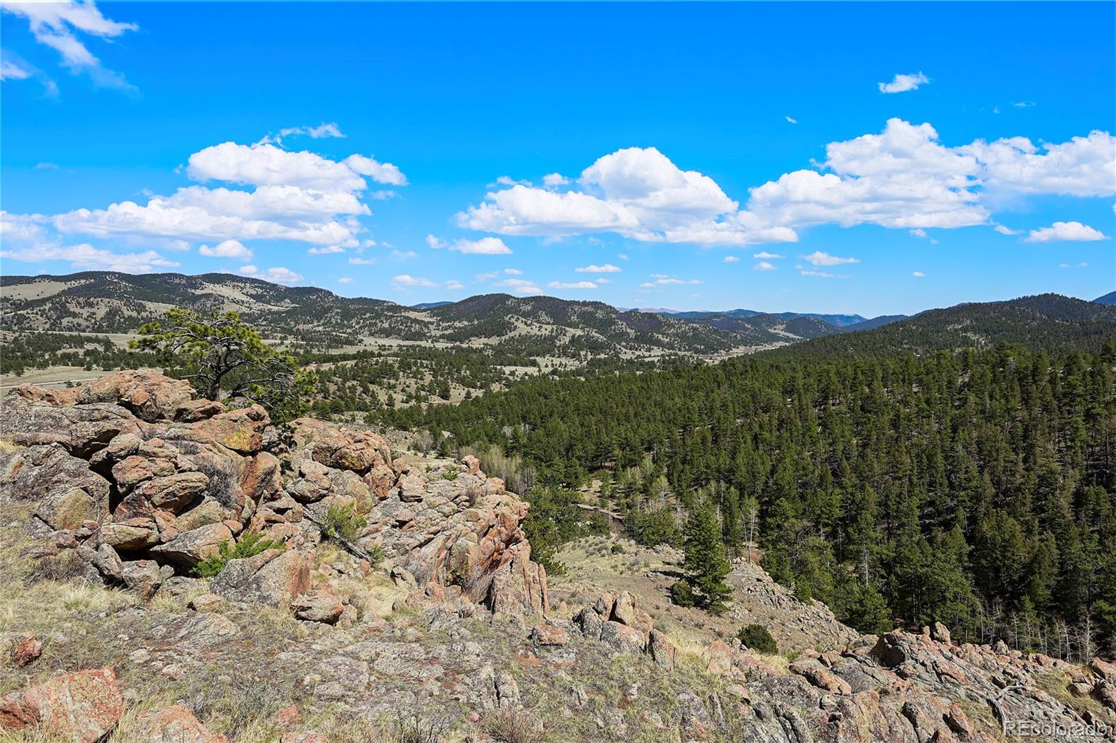 MLS Image #32 for 7275  co-9 ,guffey, Colorado