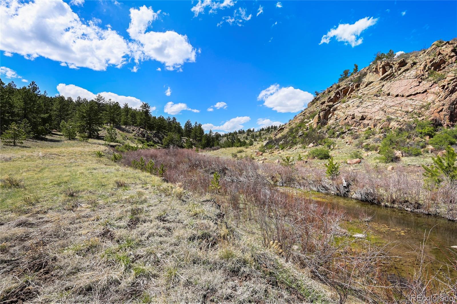 MLS Image #36 for 7275  co-9 ,guffey, Colorado