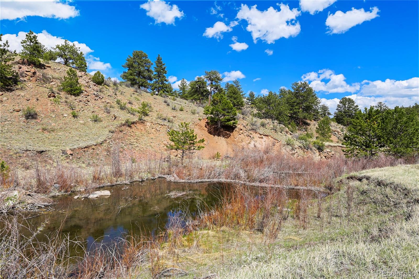 MLS Image #4 for 7275  co-9 ,guffey, Colorado