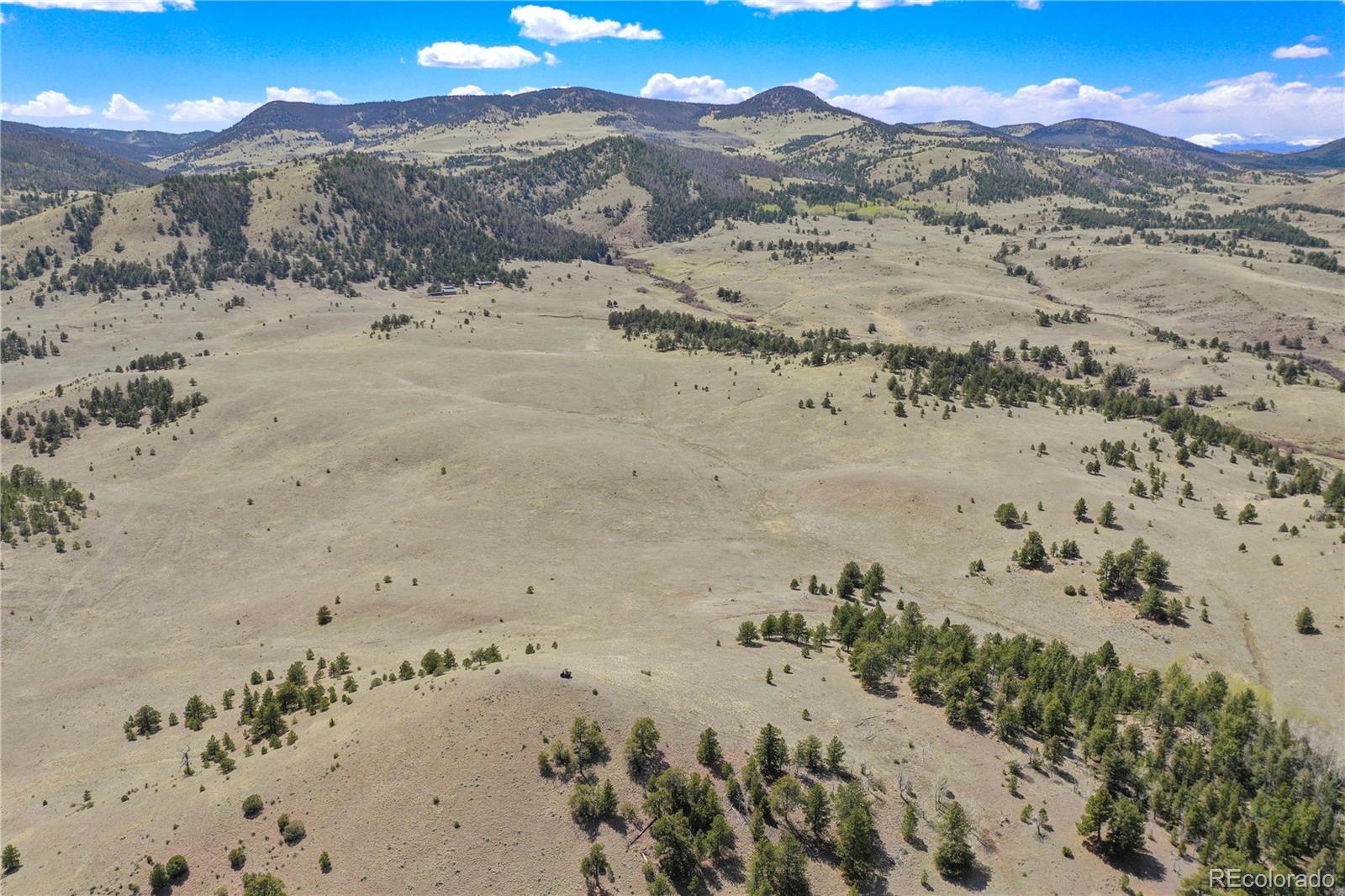 MLS Image #41 for 7275  co-9 ,guffey, Colorado