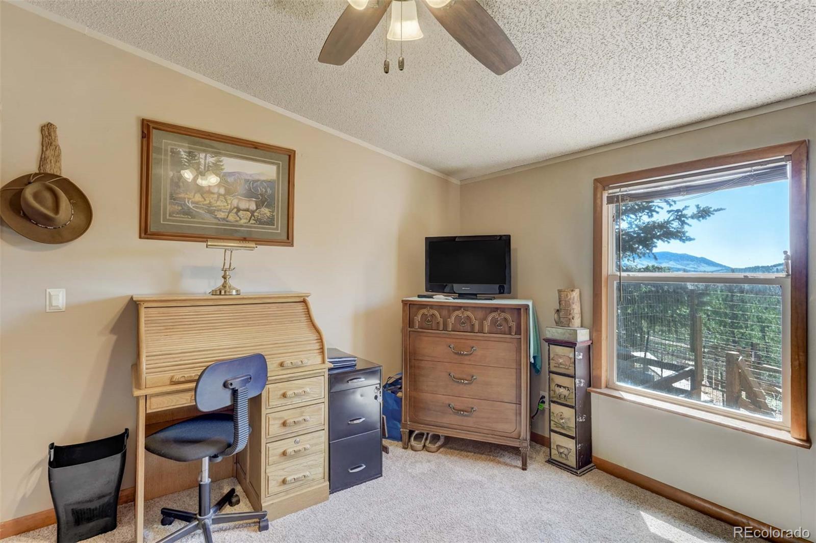 MLS Image #12 for 100  hawk lane,guffey, Colorado