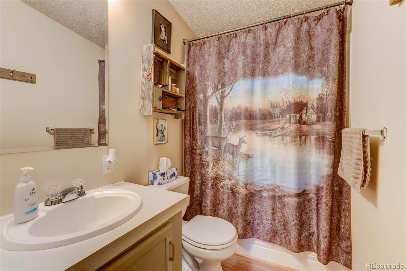 MLS Image #16 for 100  hawk lane,guffey, Colorado