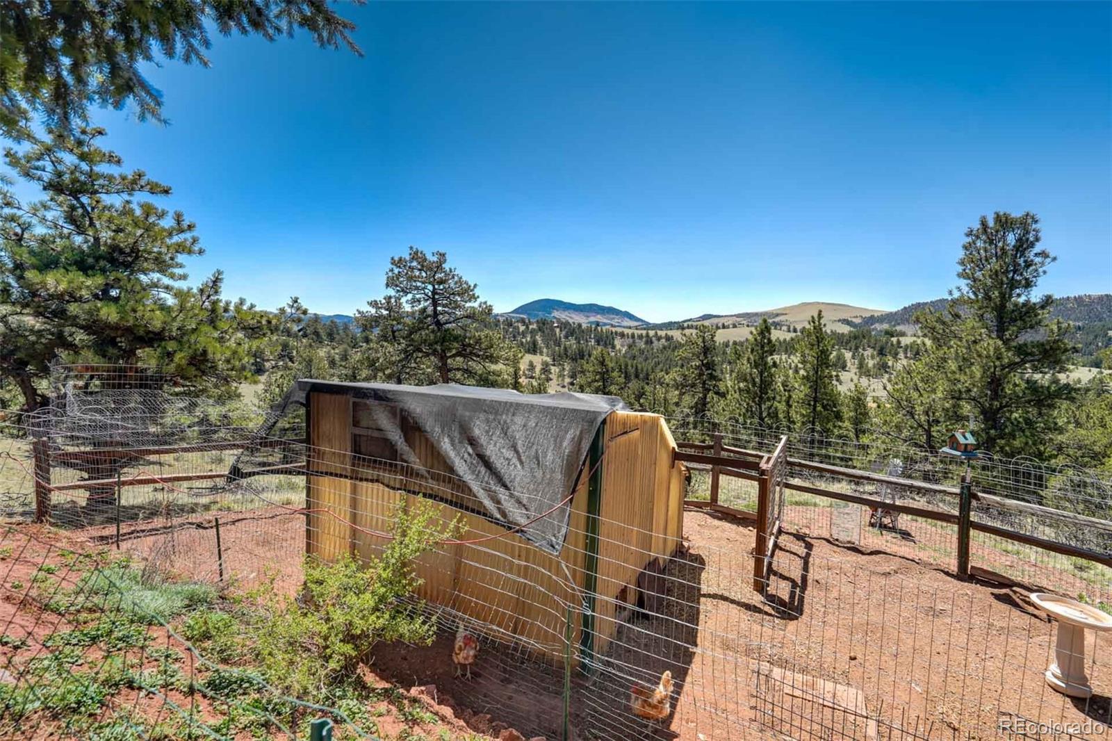 MLS Image #25 for 100  hawk lane,guffey, Colorado