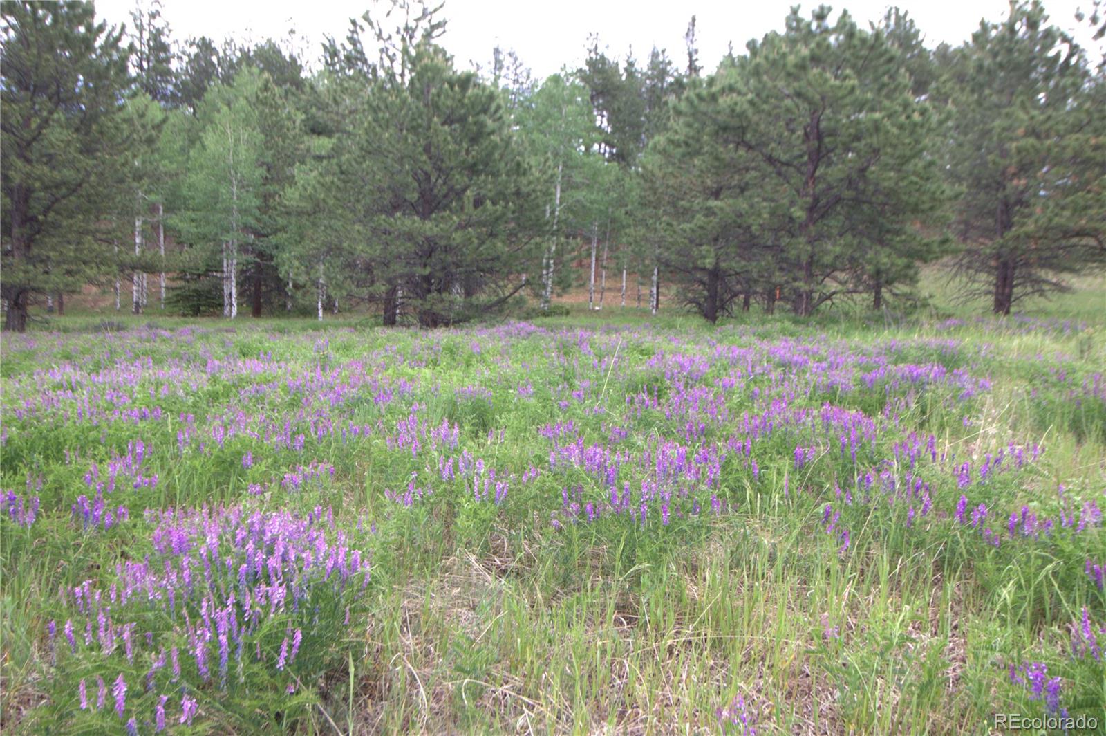 MLS Image #18 for 584  sourdough road,woodland park, Colorado