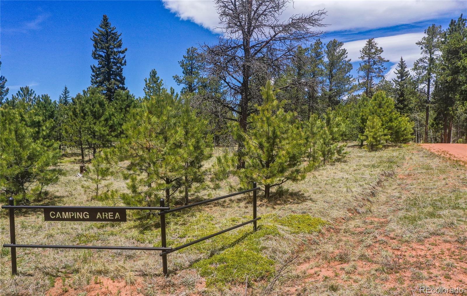 MLS Image #31 for 584  sourdough road,woodland park, Colorado