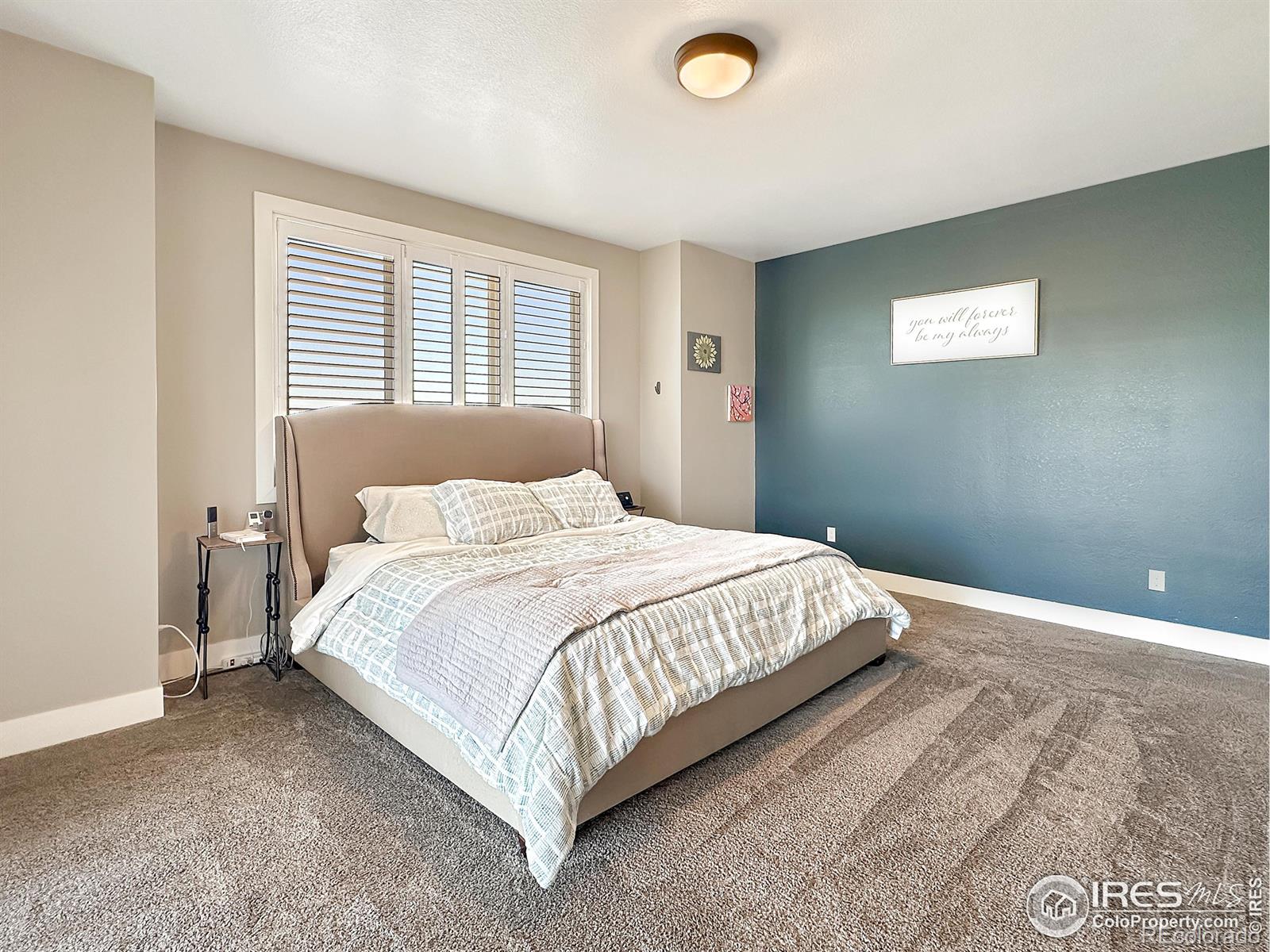 MLS Image #13 for 14505  shelbe lane,sterling, Colorado