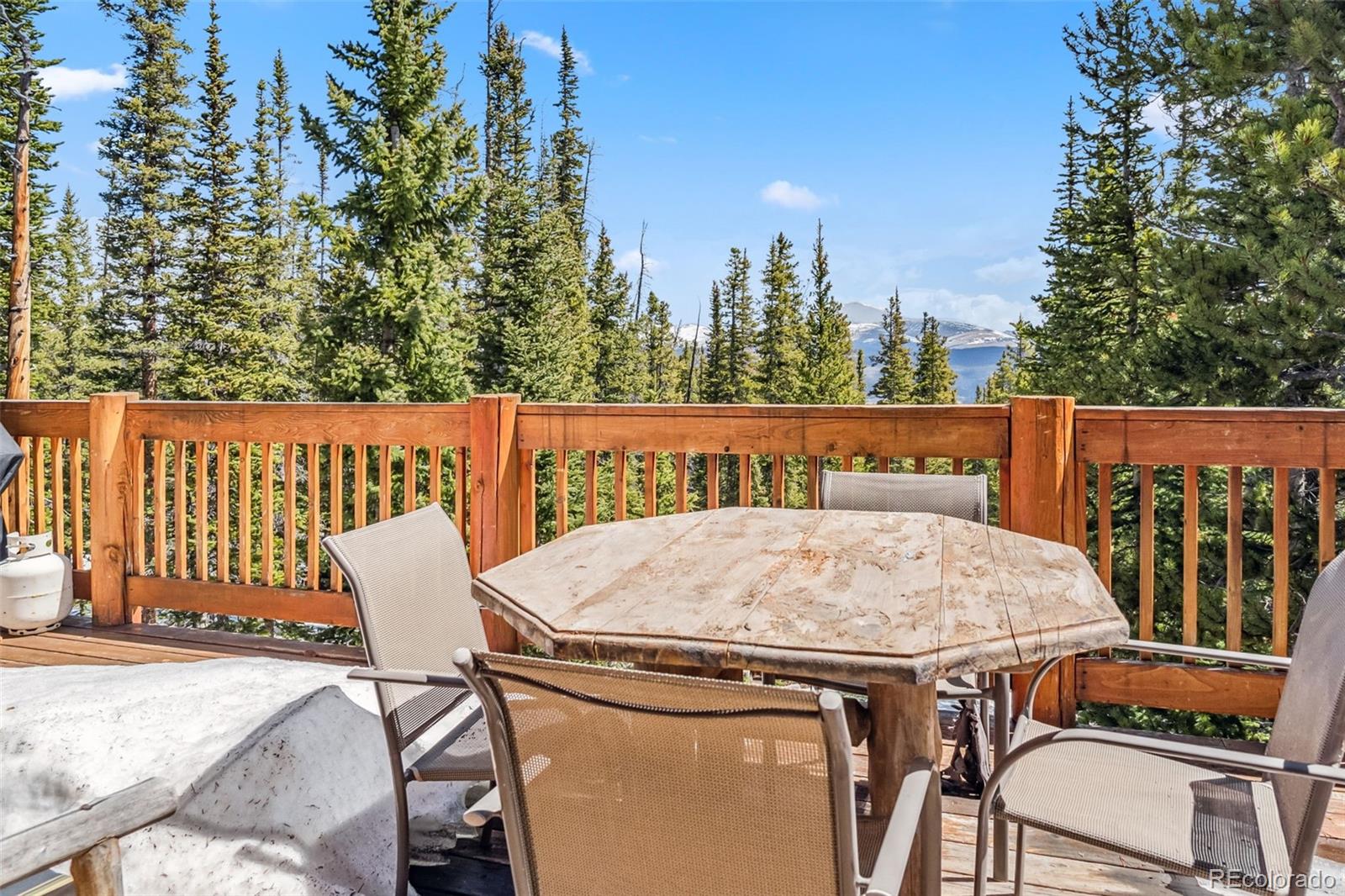 MLS Image #13 for 270  miners way,fairplay, Colorado