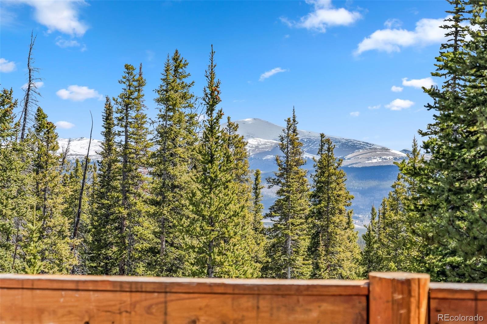 MLS Image #15 for 270  miners way,fairplay, Colorado