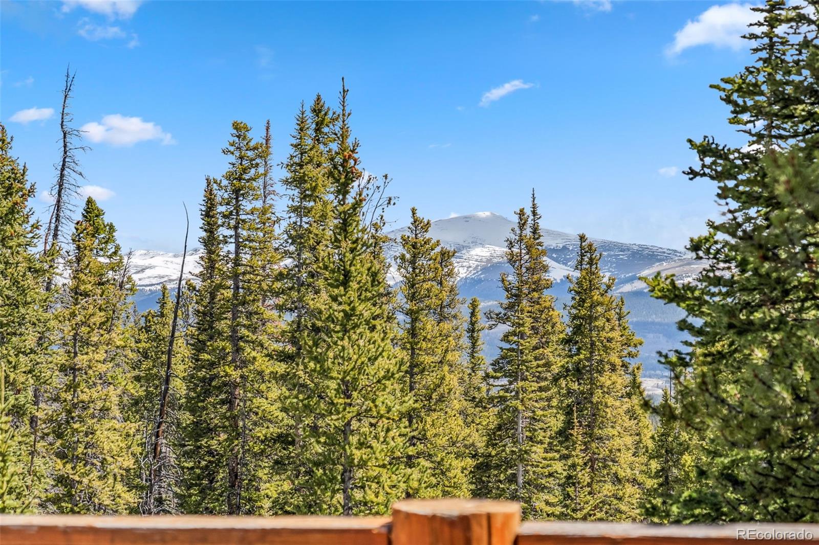 MLS Image #29 for 270  miners way,fairplay, Colorado