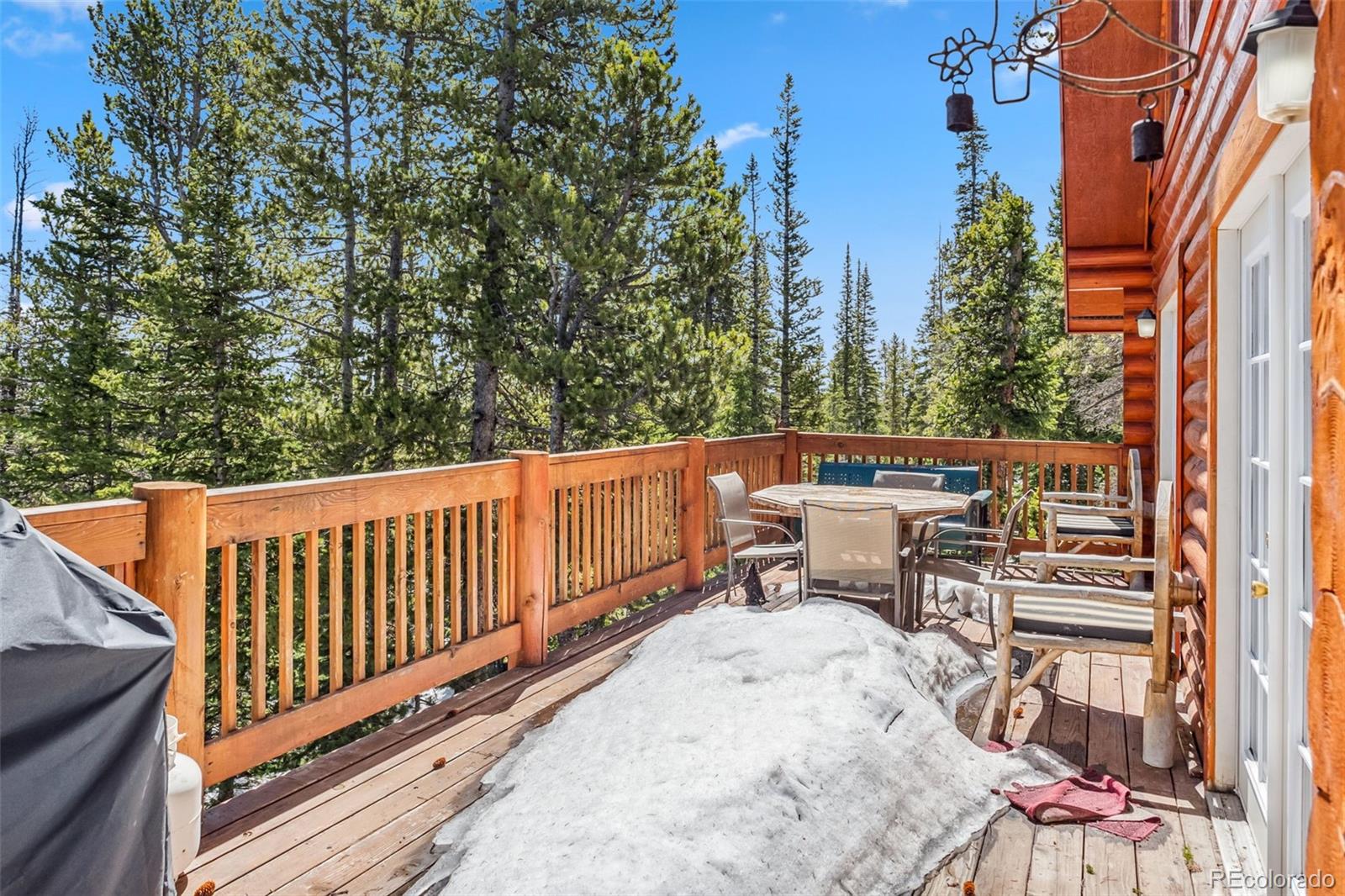 MLS Image #46 for 270  miners way,fairplay, Colorado