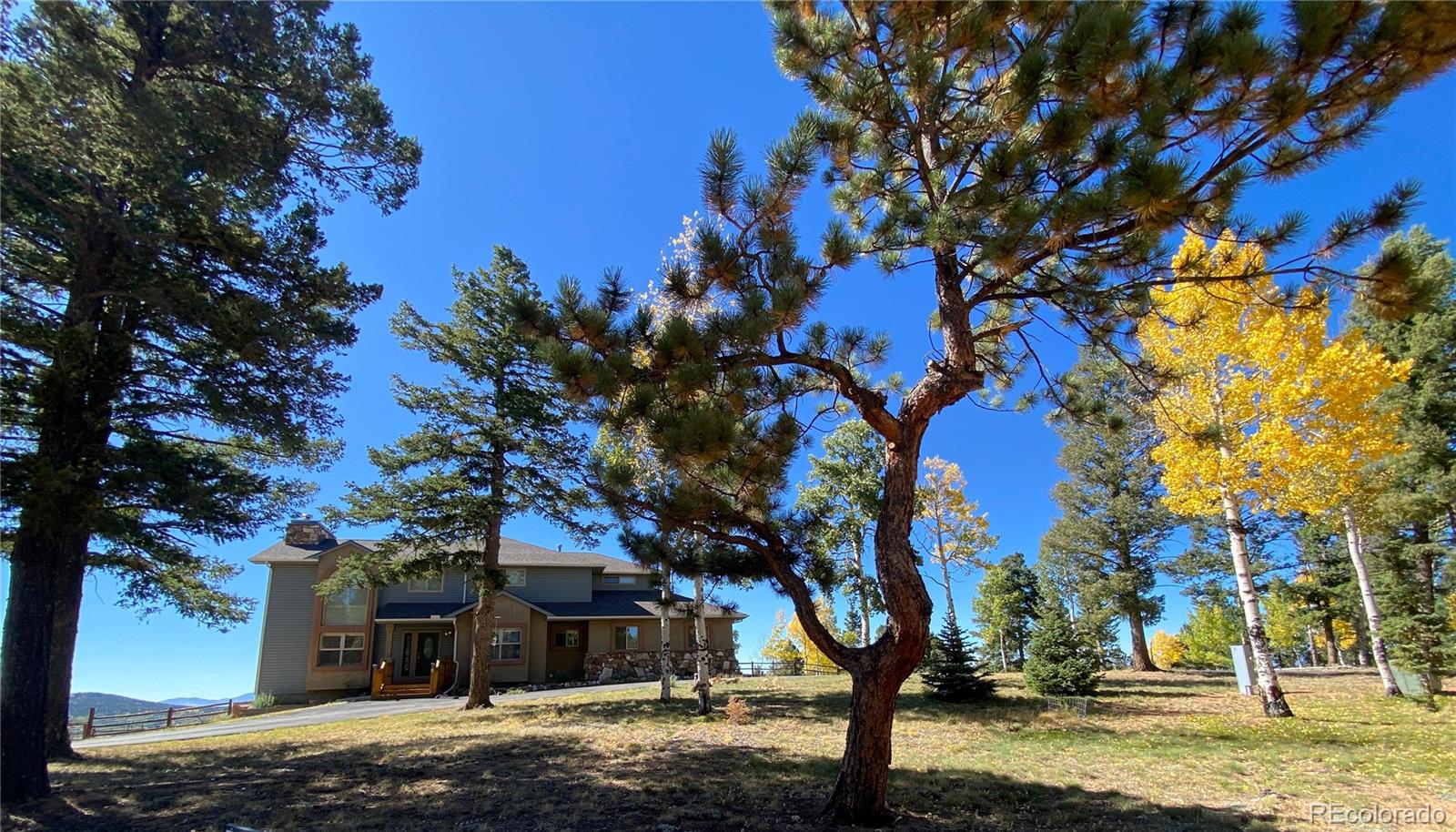 MLS Image #2 for 10255 s elk ridge ,divide, Colorado