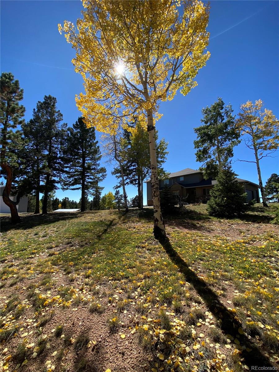 MLS Image #46 for 10255 s elk ridge ,divide, Colorado