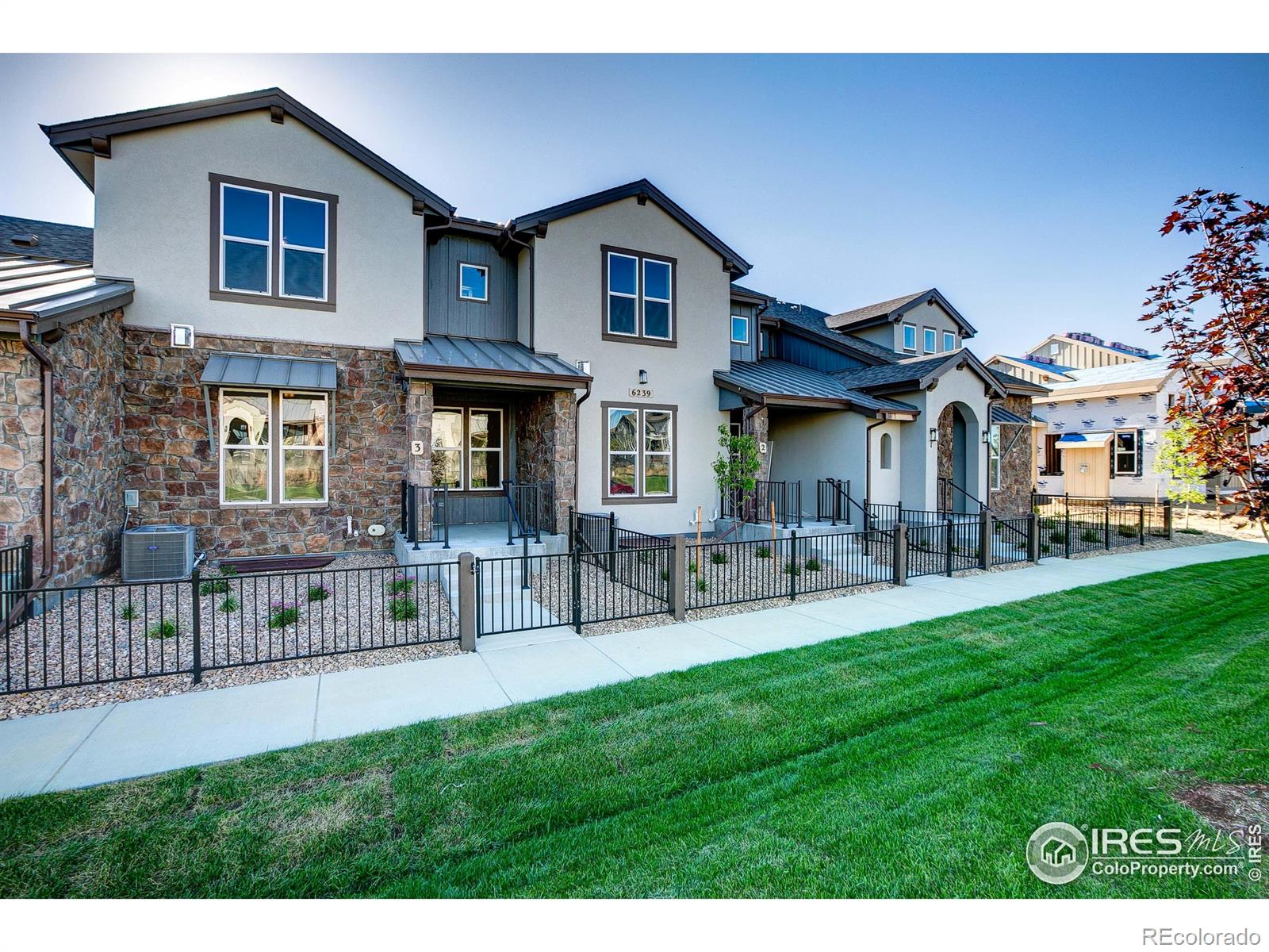 MLS Image #15 for 6237  vernazza way,windsor, Colorado