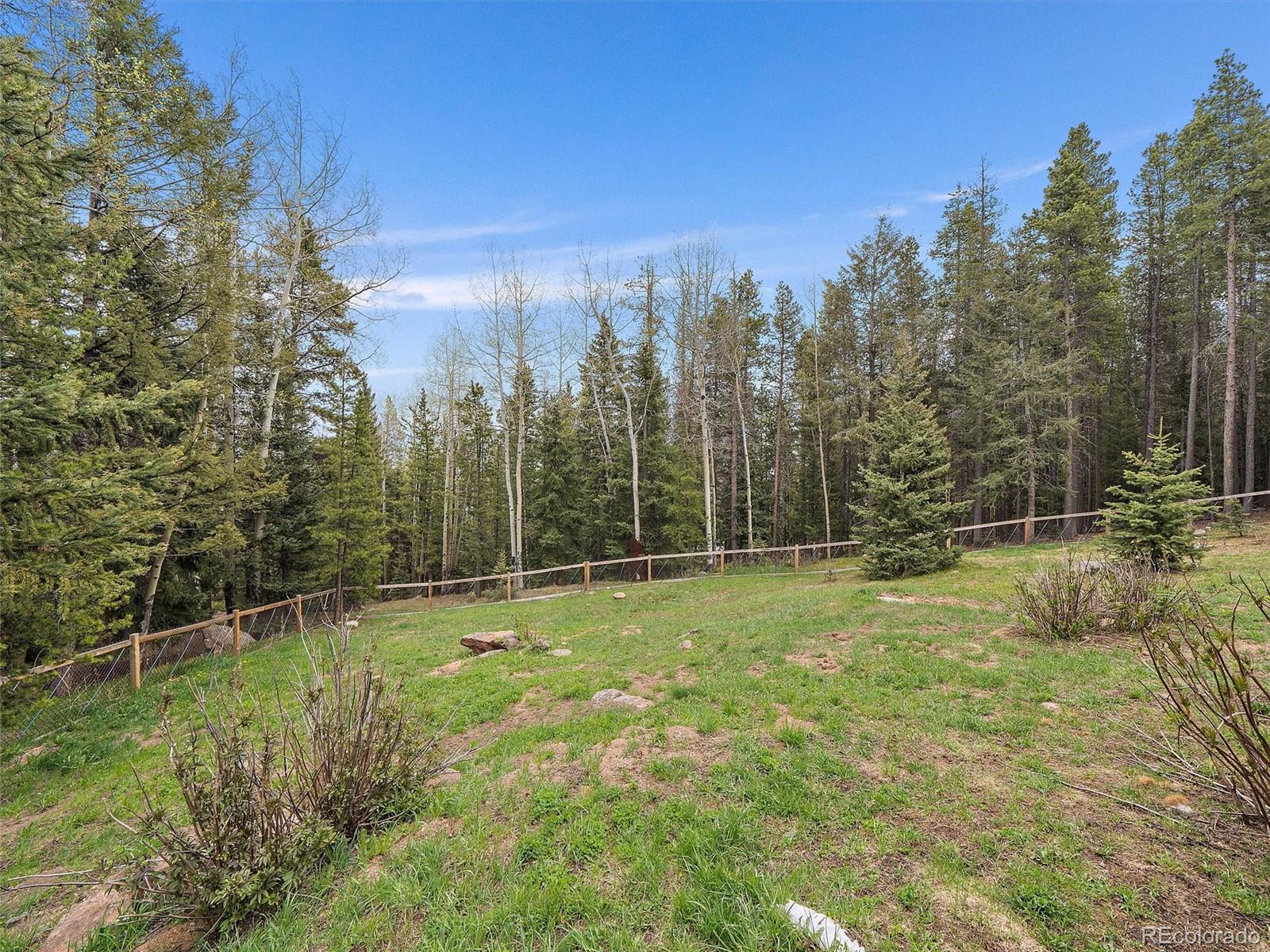 MLS Image #12 for 10499  christopher drive,conifer, Colorado