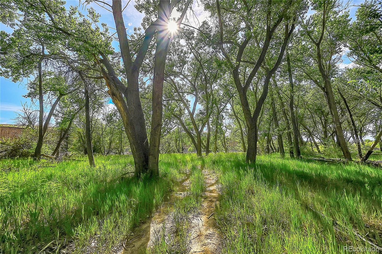 MLS Image #41 for 12620  old pueblo road,fountain, Colorado