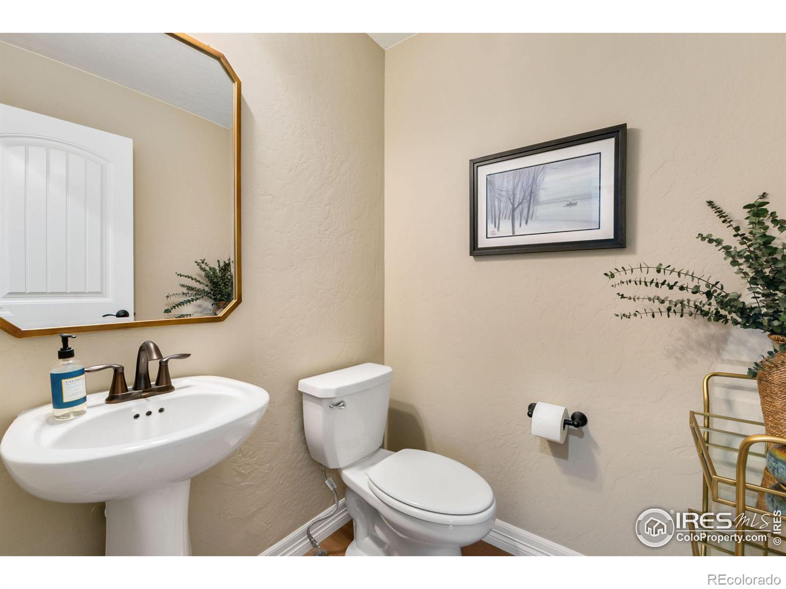 MLS Image #19 for 5570  teeling court,timnath, Colorado