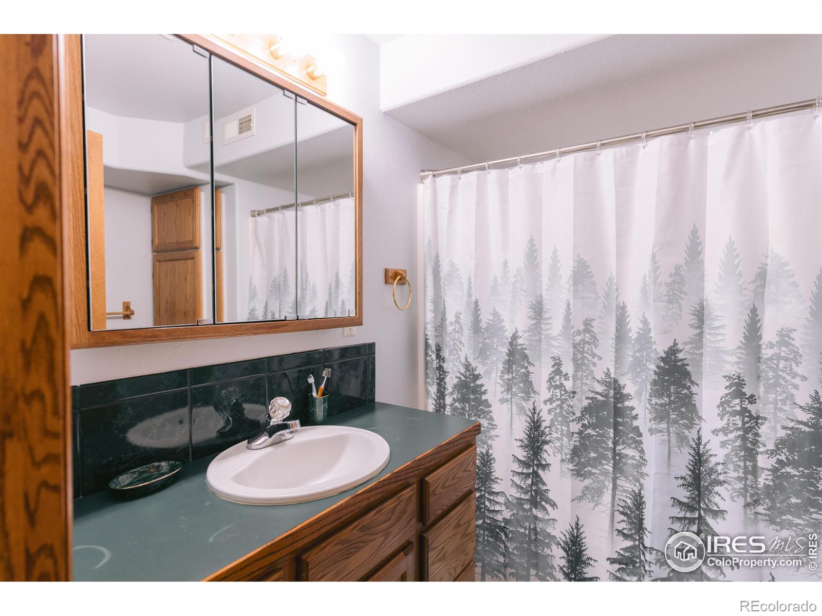 MLS Image #25 for 18601  county road 24 ,brush, Colorado