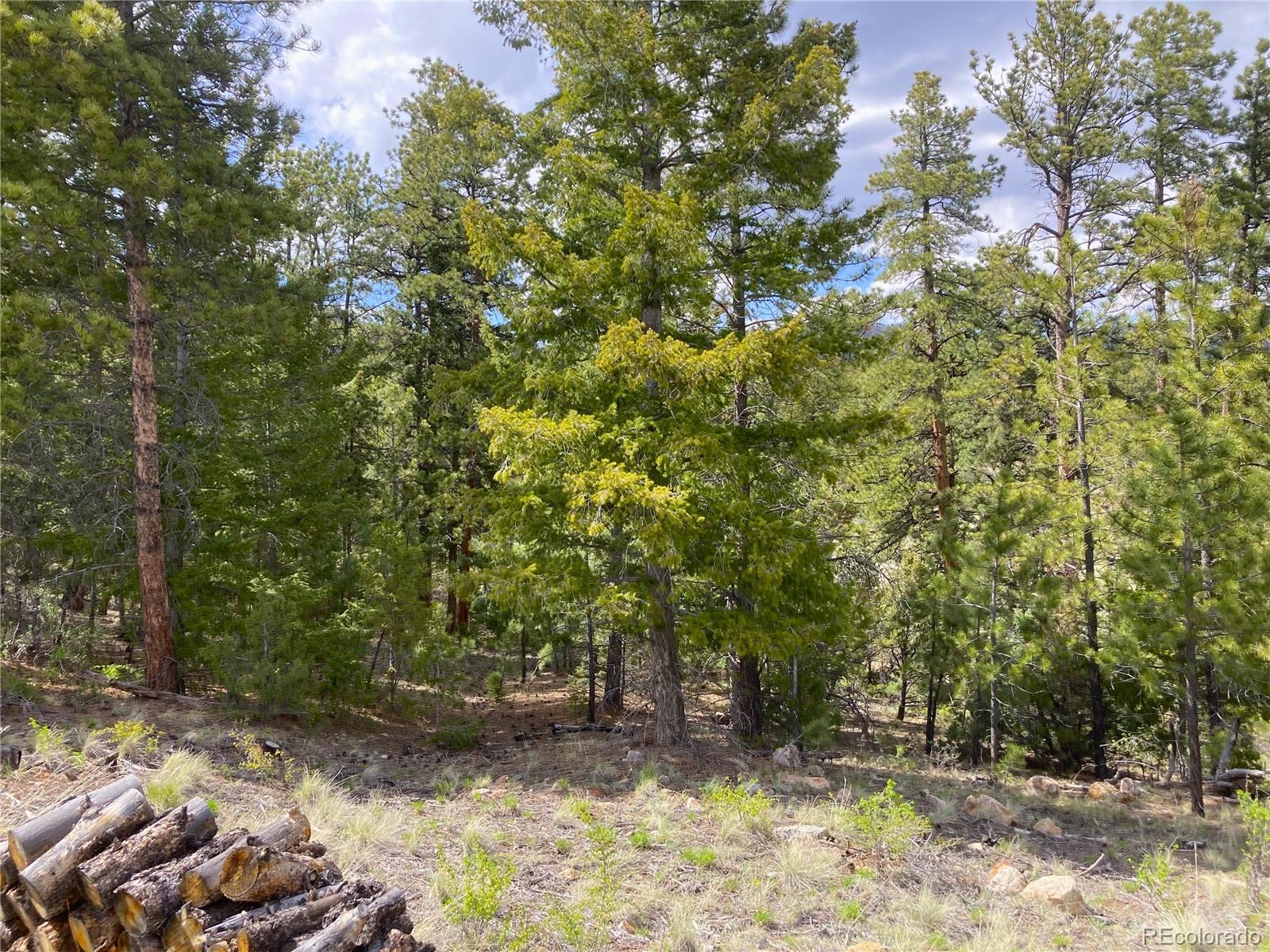 MLS Image #16 for 10475  cr 12 ,cotopaxi, Colorado