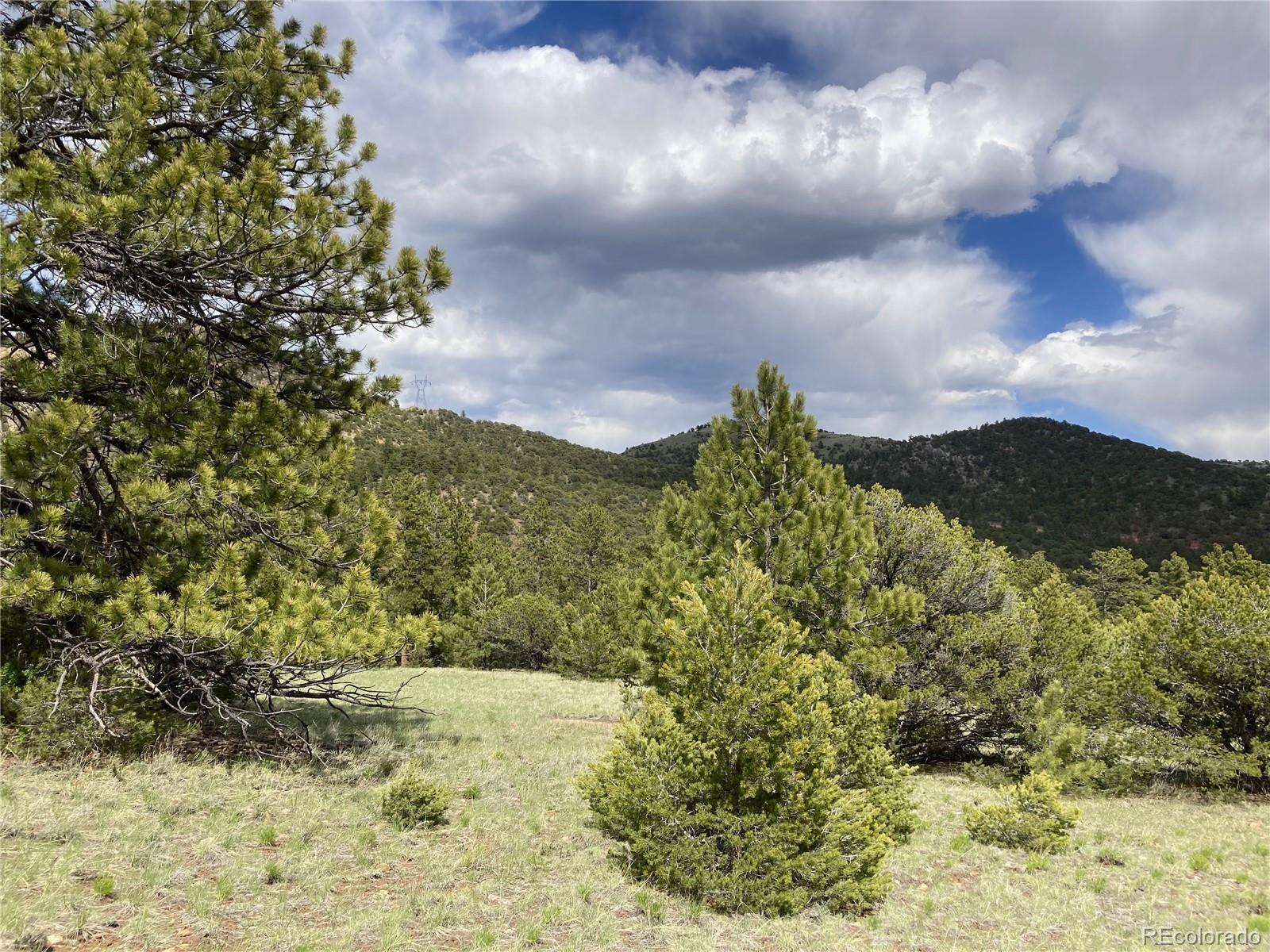 MLS Image #38 for 10475  cr 12 ,cotopaxi, Colorado