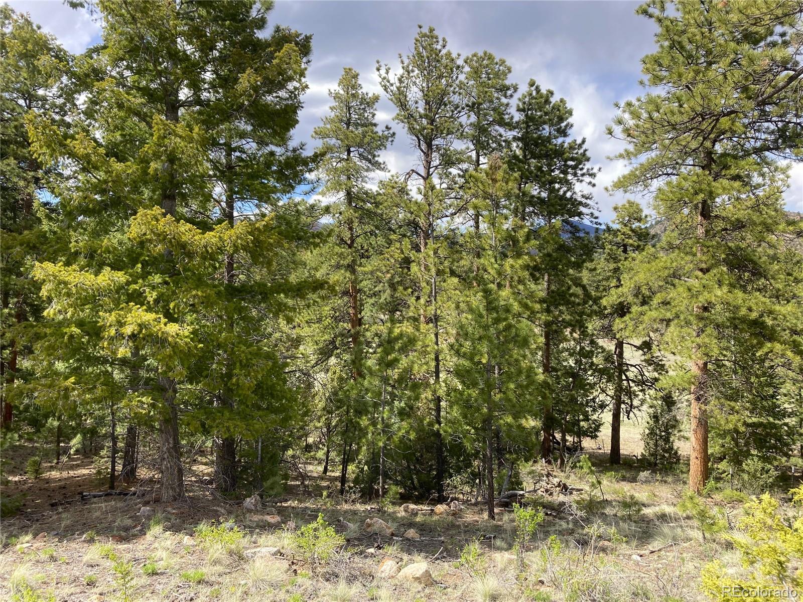 MLS Image #41 for 10475  cr 12 ,cotopaxi, Colorado