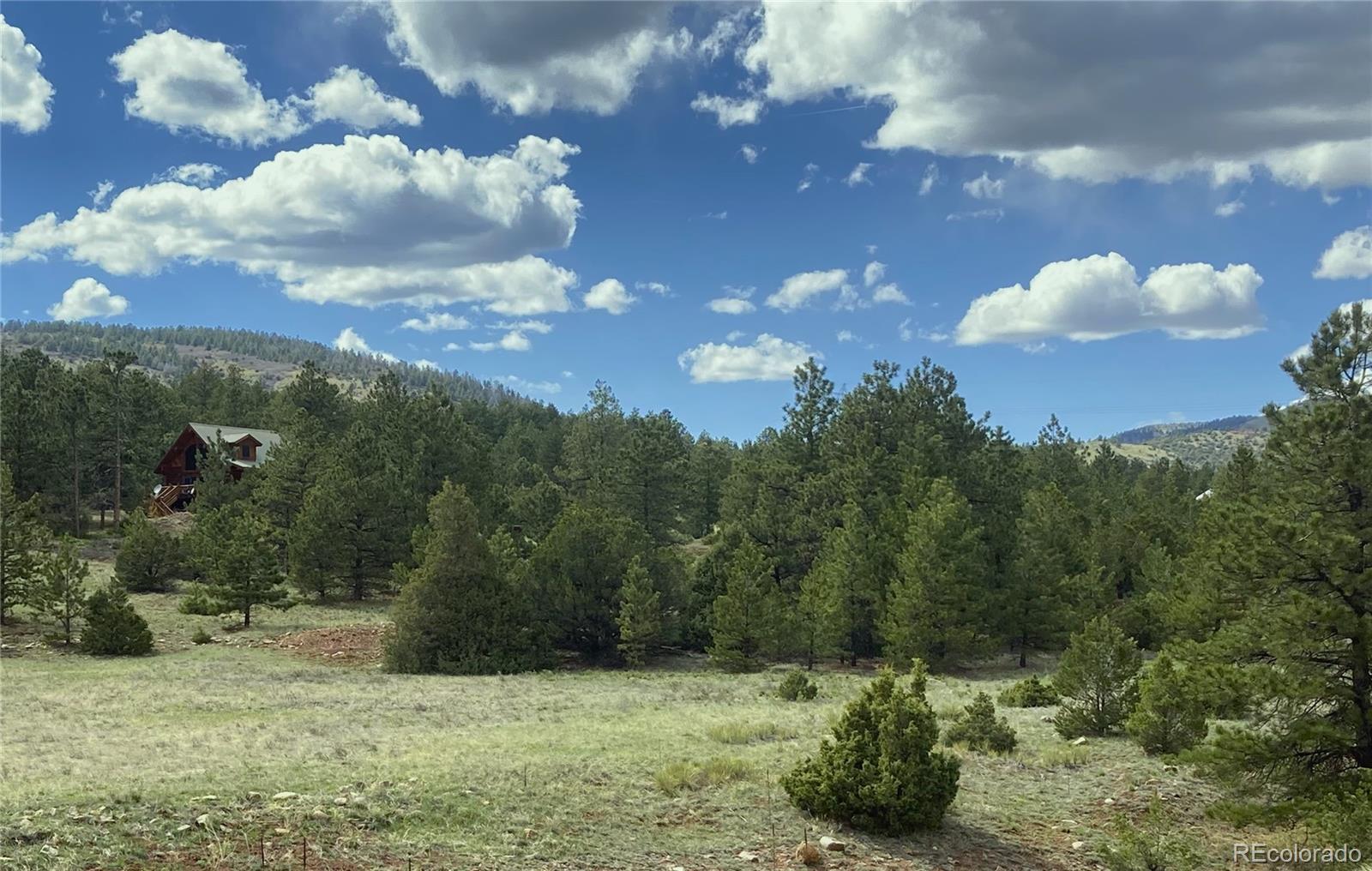 MLS Image #44 for 10475  cr 12 ,cotopaxi, Colorado